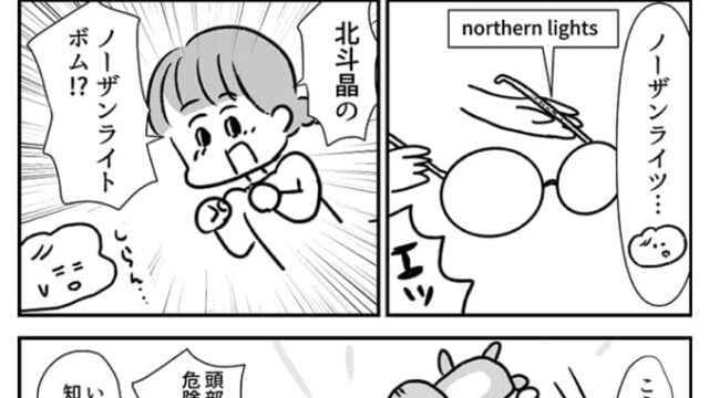 ノーザンライト・ボム